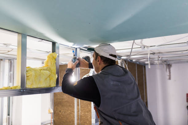 Best Cellulose Insulation in Glenwood, AR