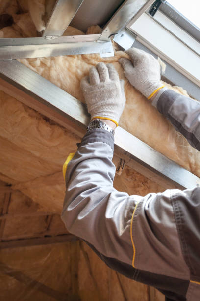 Best Spray Foam Insulation in Glenwood, AR