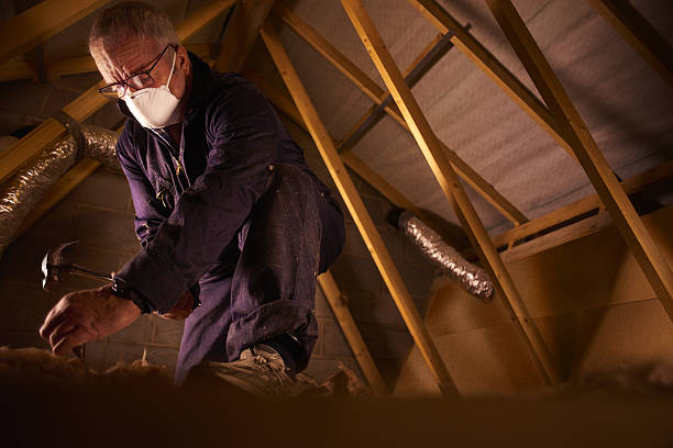 Best Geographic-Specific Insulation Services in Glenwood, AR